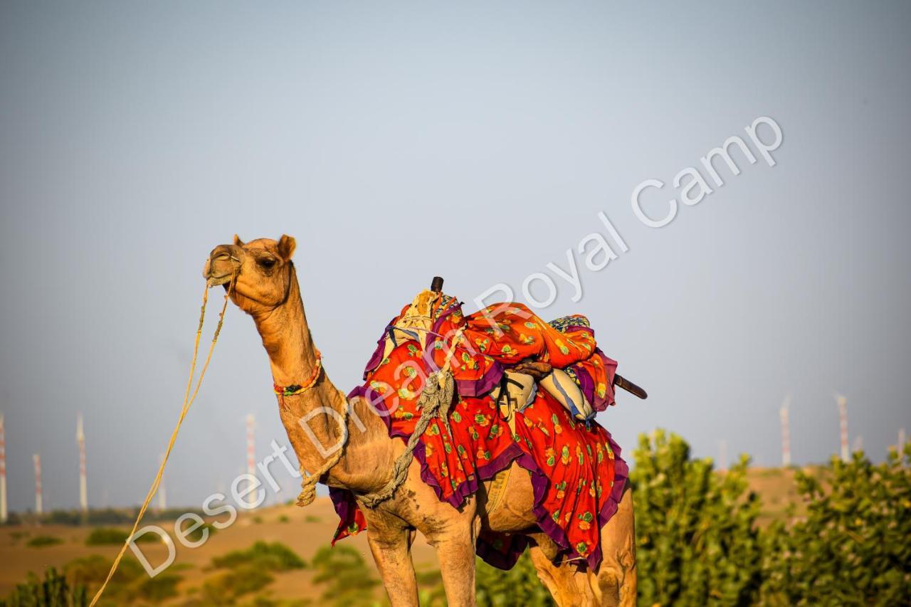 Desert Dream Royal Camp Hotel Jaisalmer Exterior photo